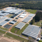 Emerald Coast Growers marks 35 years