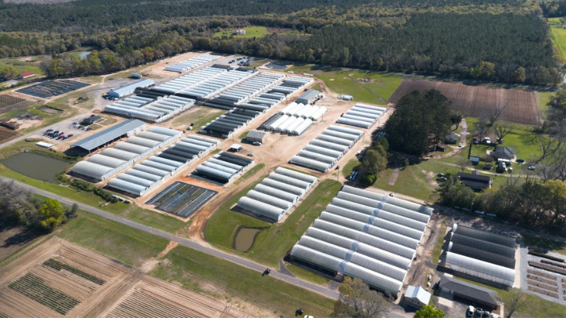 Emerald Coast Growers marks 35 years