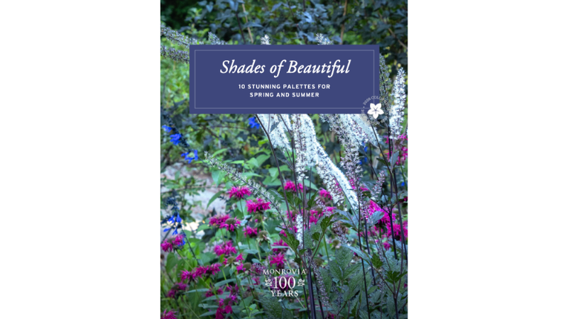Monrovia releases 2026 'Shades of Beautiful' digital guide