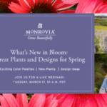 Monrovia schedules 'What's New in Bloom' webinar