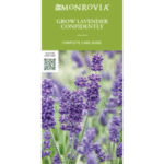 Monrovia's Lavender Week to help retailers capitalize on consumer demand