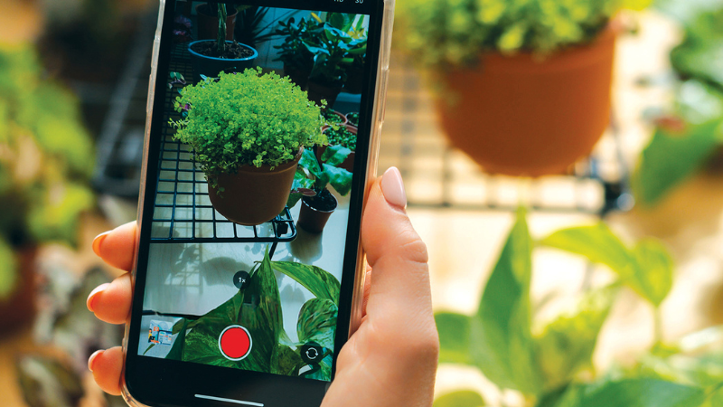 Becoming a digital garden center