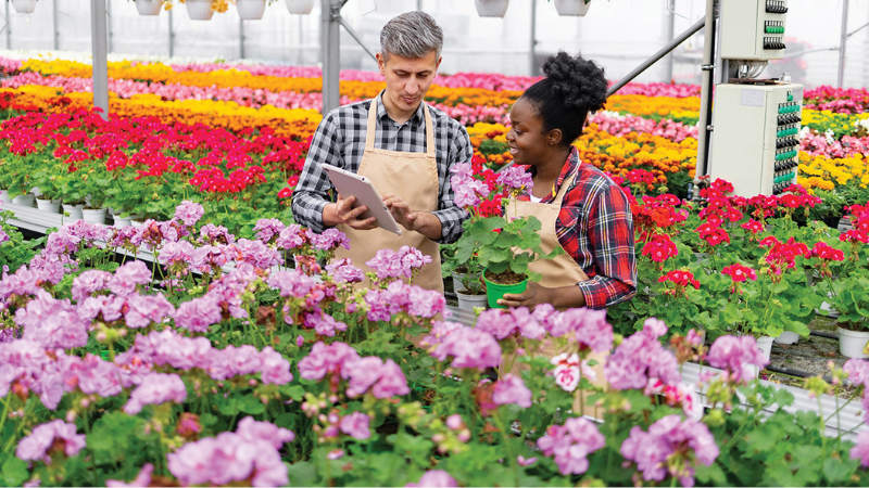 Consultant John Kennedy shares tips for how independent garden retailers can close their fall season strong