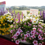 Dümmen Orange showcases varieties rooted in science and art at CAST 2026