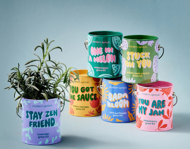 Modern Sprout_Complimentary Colors Grow Kits