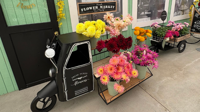 Mother’s Day 2026 spending to hit a record $38B - Syngenta Flowers CAST display 2026