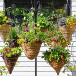 Perspectives on pots and planters Brome inground_8 baskets_square