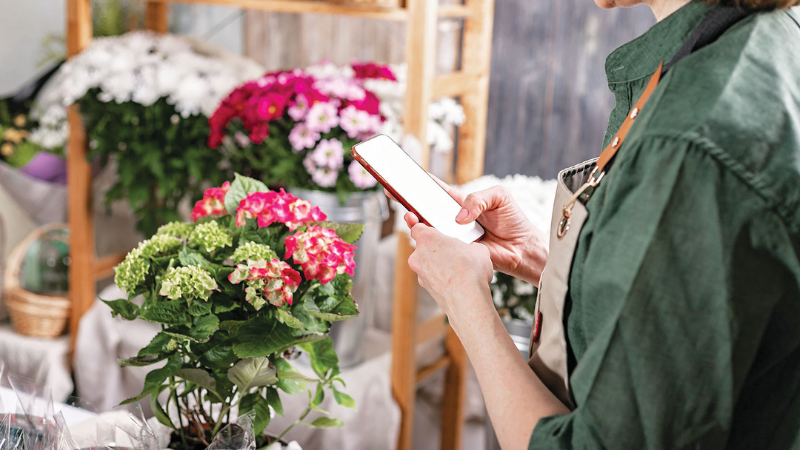 Pohmer How garden retailers can become a pain reliever