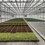 University of Florida Greenhouse Training Online courses Greenhouse & Nursery 101 starts May 25