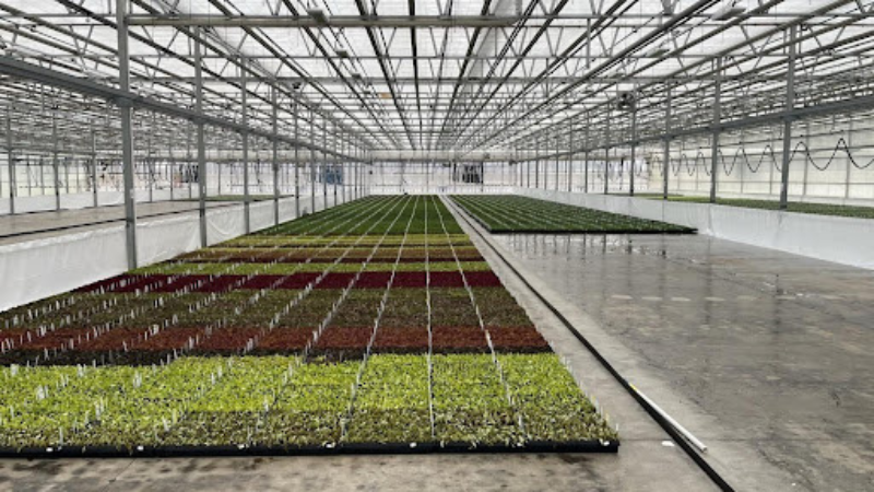 University of Florida Greenhouse Training Online courses Greenhouse & Nursery 101 starts May 25