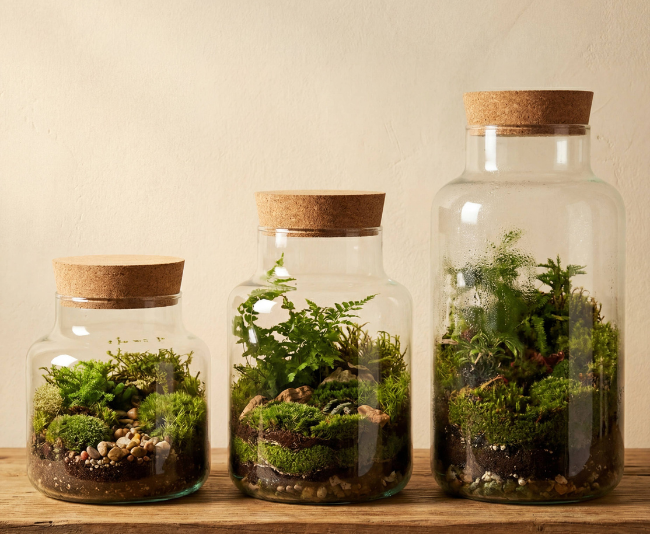 Creation Jute_Handblown Recycled Glass Terrarium