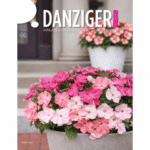 Danziger has launched its 2026–2027 Annuals & Perennials Catalogs for North America and Europe & Rest of World