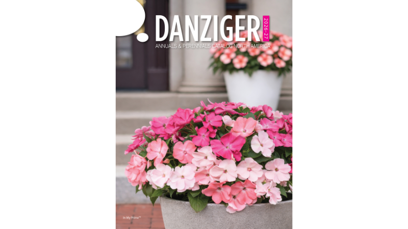 Danziger has launched its 2026–2027 Annuals & Perennials Catalogs for North America and Europe & Rest of World