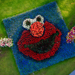 DeVroomen Garden Products introduced a Sesame Street-themed display garden at Keukenhof Gardens