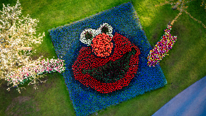 DeVroomen Garden Products introduced a Sesame Street-themed display garden at Keukenhof Gardens