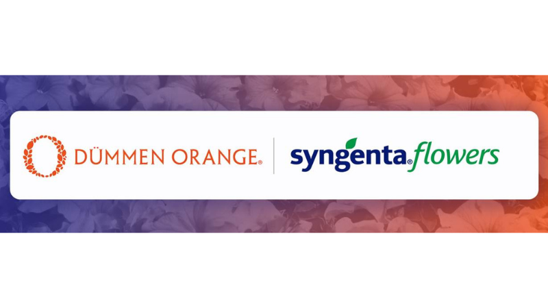 Dümmen Orange and Syngenta Flowers Form Joint Venture