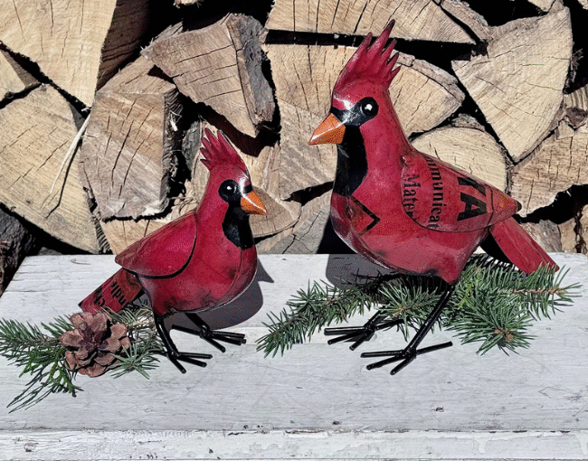 Pine Creek_Cardinals