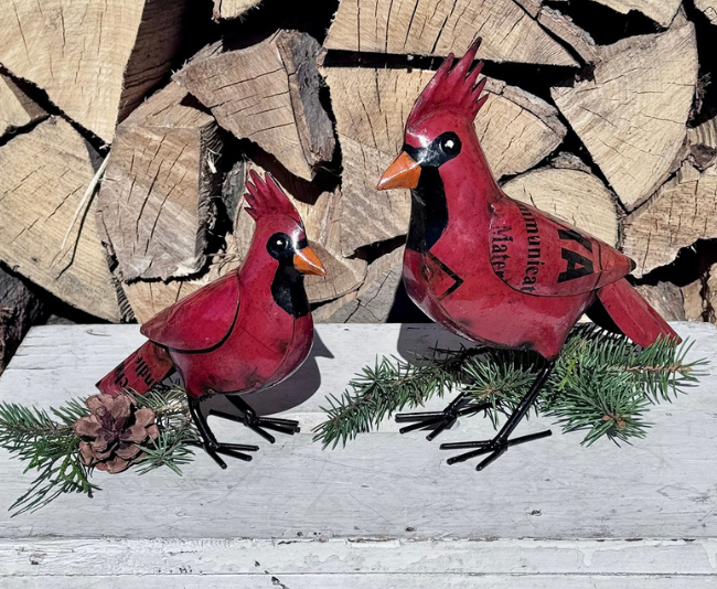 Pine Creek_Cardinals