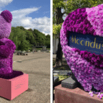 Suntory Flowers Japan installs carnation displays for Mother’s Day