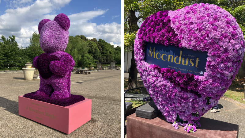 Suntory Flowers Japan installs carnation displays for Mother’s Day