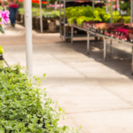 Dead spots can hurt retail sales. Learn how to identify underperforming store areas, analyze customer traffic patterns and improve merchandising