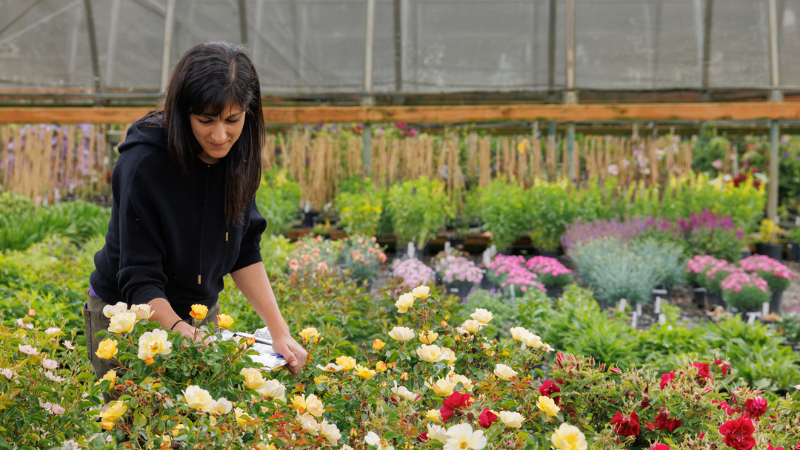 Monrovia to feature more than 400 varieties during Centennial Week