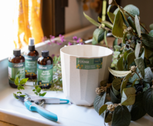 Oasis Forage Products