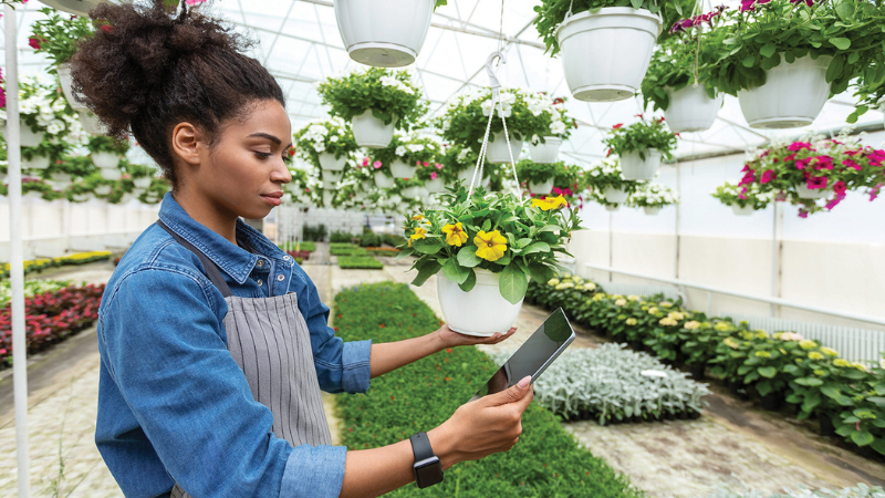4 Tech Companies Helping Garden Centers to Grow stock