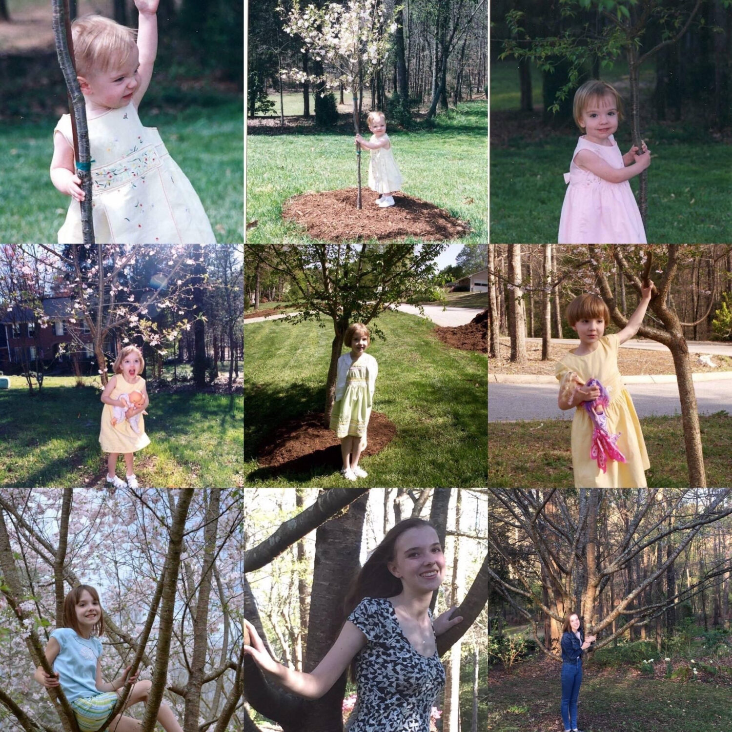 A birthday tree through the years. Photo courtesy of NGB.