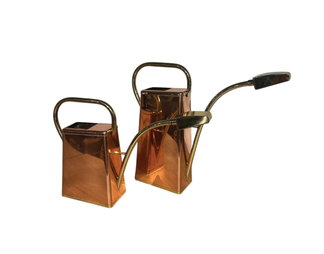 Botanical Collections_Copper Watering Can