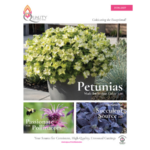 Cover of the Quality Cuttings 2026-2027 catalog featuring more than 700 varieties of unrooted cuttings.
