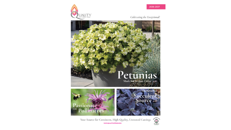 Cover of the Quality Cuttings 2026-2027 catalog featuring more than 700 varieties of unrooted cuttings.