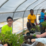 Gro 'n Sell, with support from its breeding partners, donated 18,000 surplus plants to the Flourish Project at First Fruits Farm