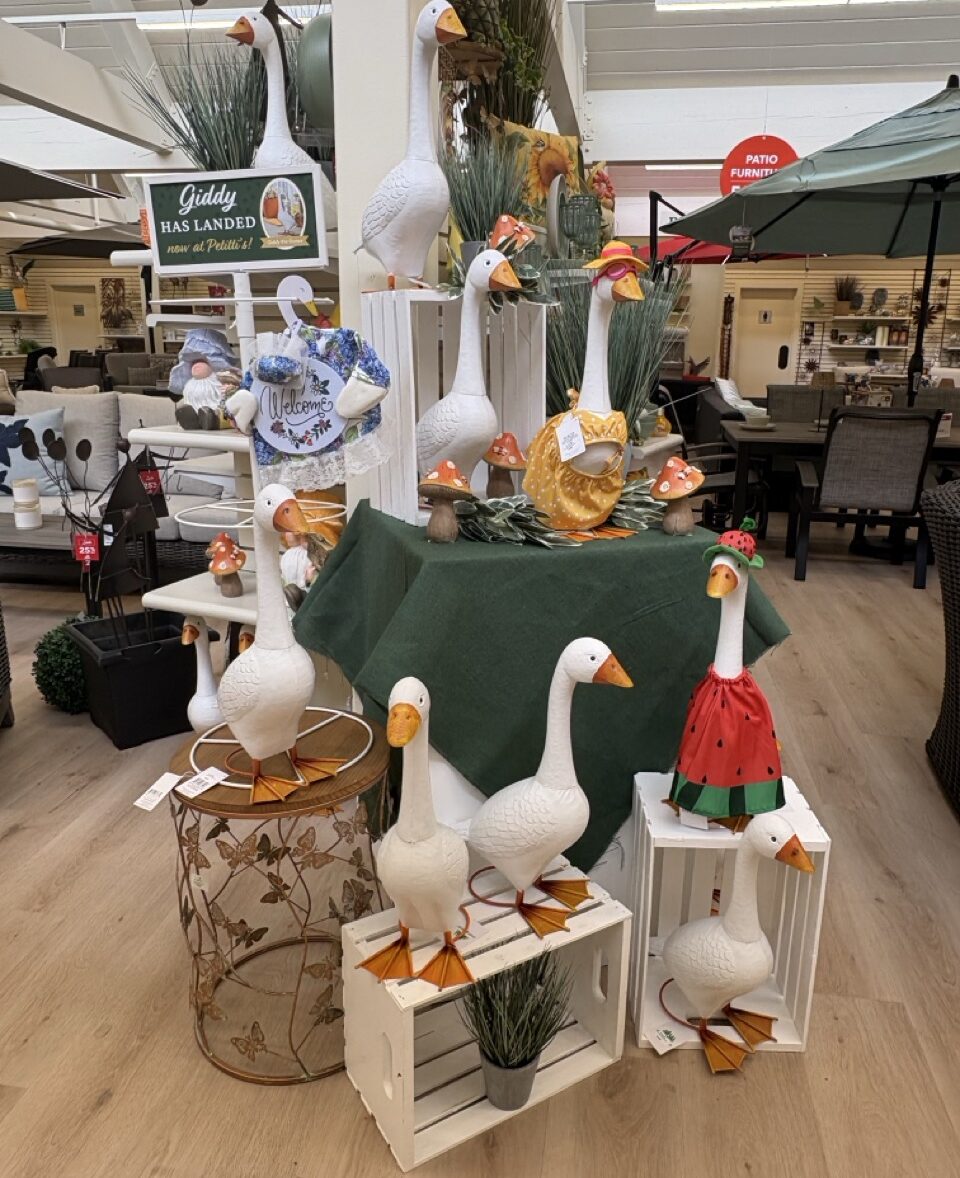 Porch geese trending both for suppliers – Athens Stonecasting said that porch geese are big sellers right now (they are producing about 500 per day) and Petitti’s 2 locations on the tour both were promoting the geese and dress-up clothes for them