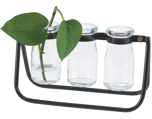 Primitives By Kathy_Milk Bottles Test Tube Vase