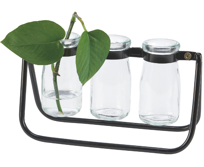Primitives By Kathy_Milk Bottles Test Tube Vase