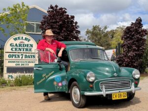 Welby Garden Centre supplies cold-climate plants including roses, perennials and fruit trees. Photo courtesy of Welby Garden Centre.